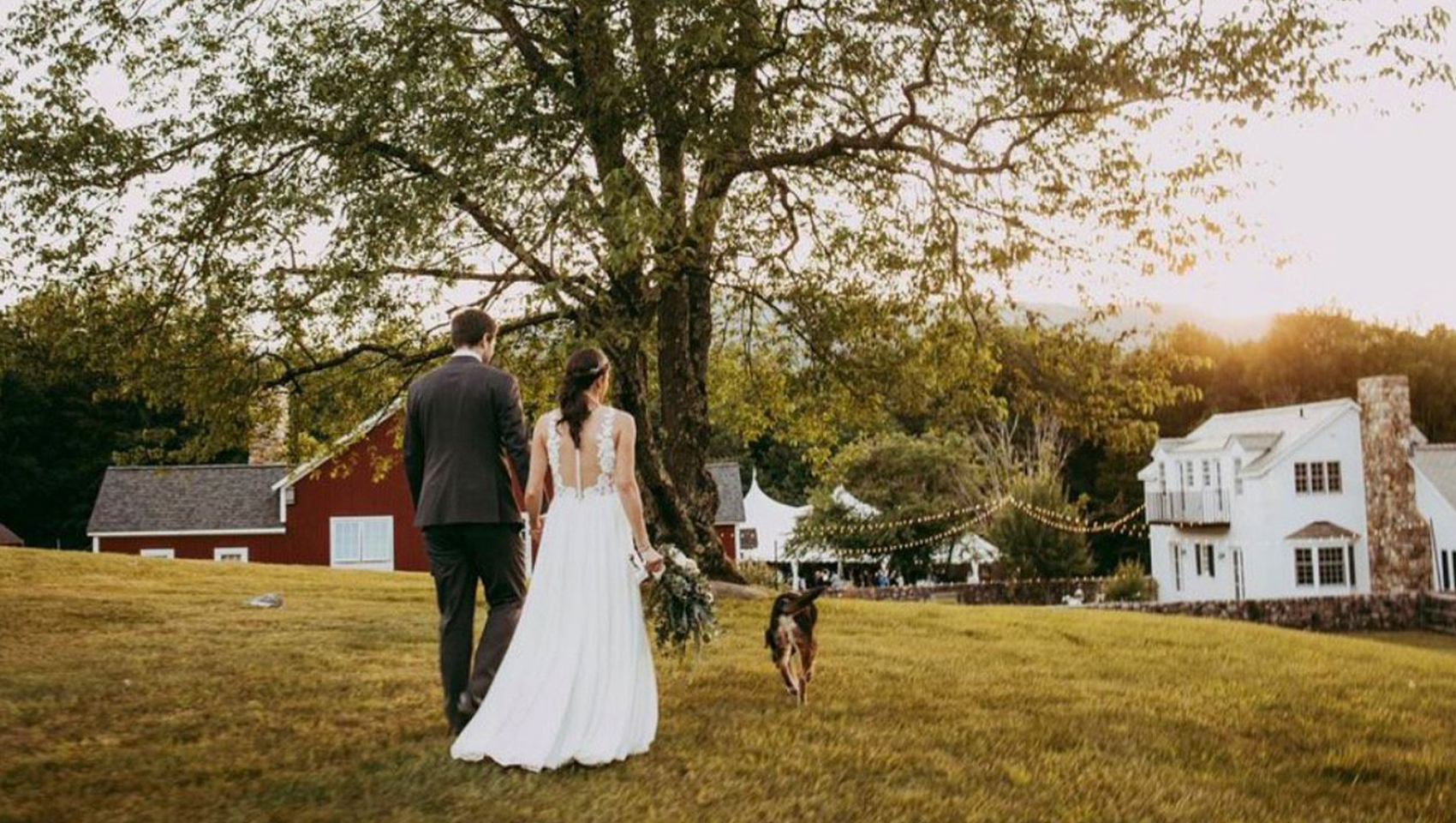 boorn brooke farm wedding