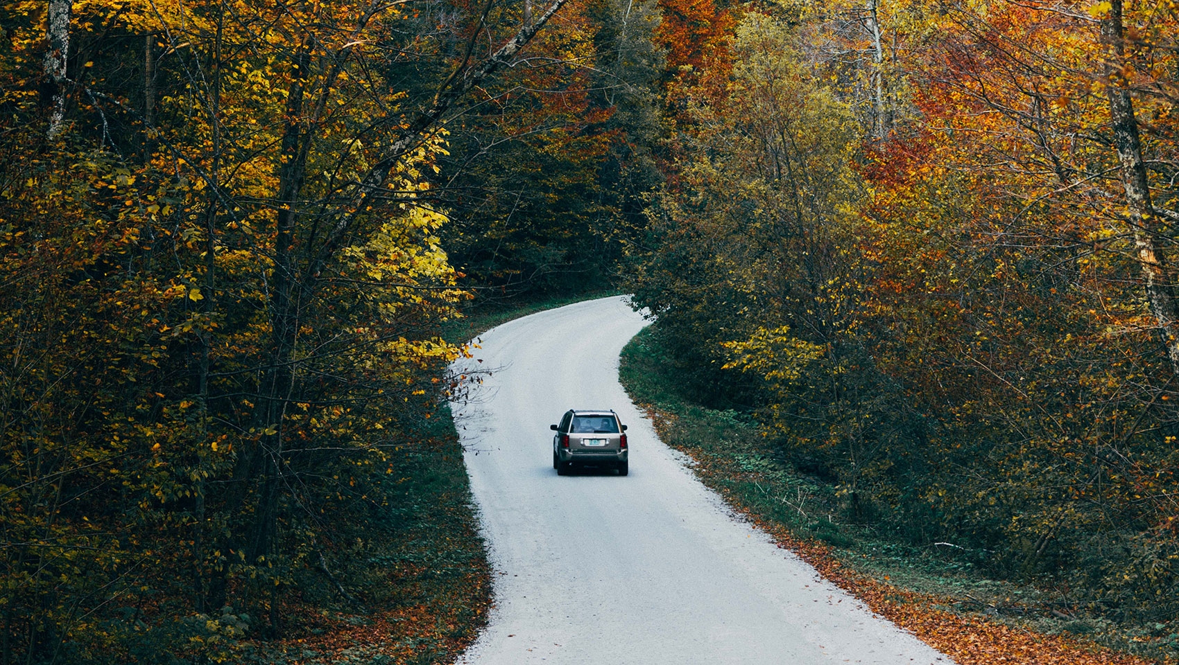 History + Sightseeing: Fall Foliage Trails