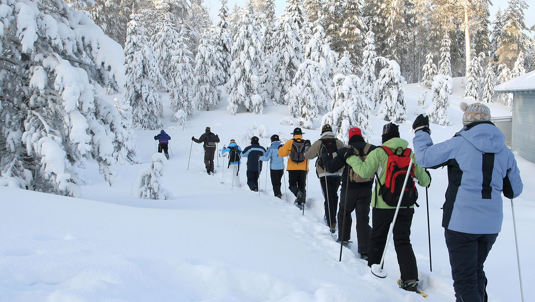 Outdoor Activities: Skiing