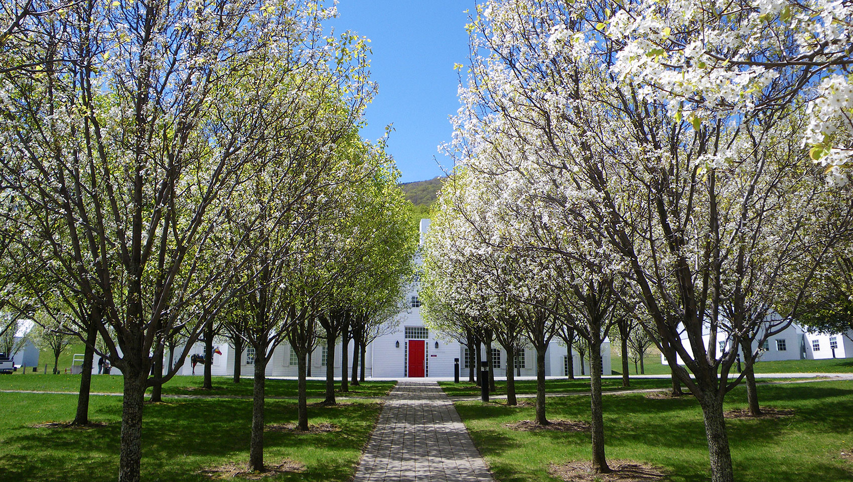 Arts + Culture: Southern Vermont Arts Center