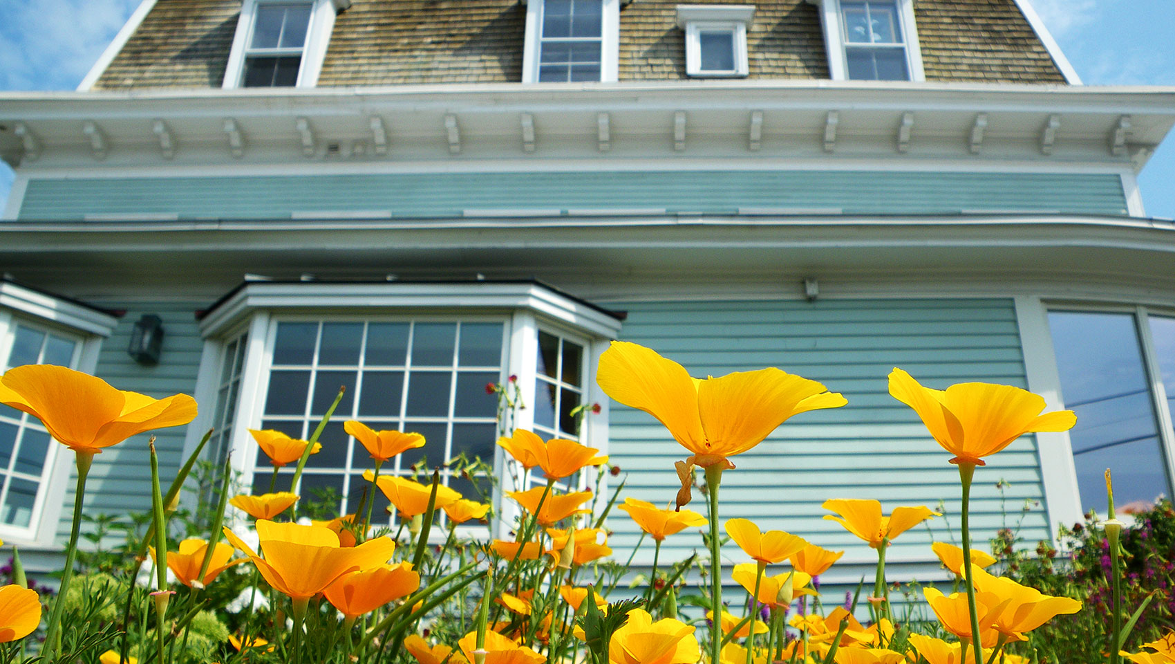 Shopping: Northshire Bookstore