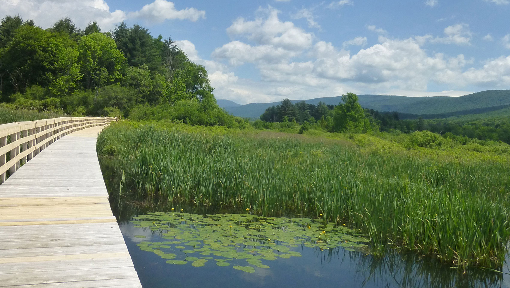 Outdoor Activities: Hiking Trails