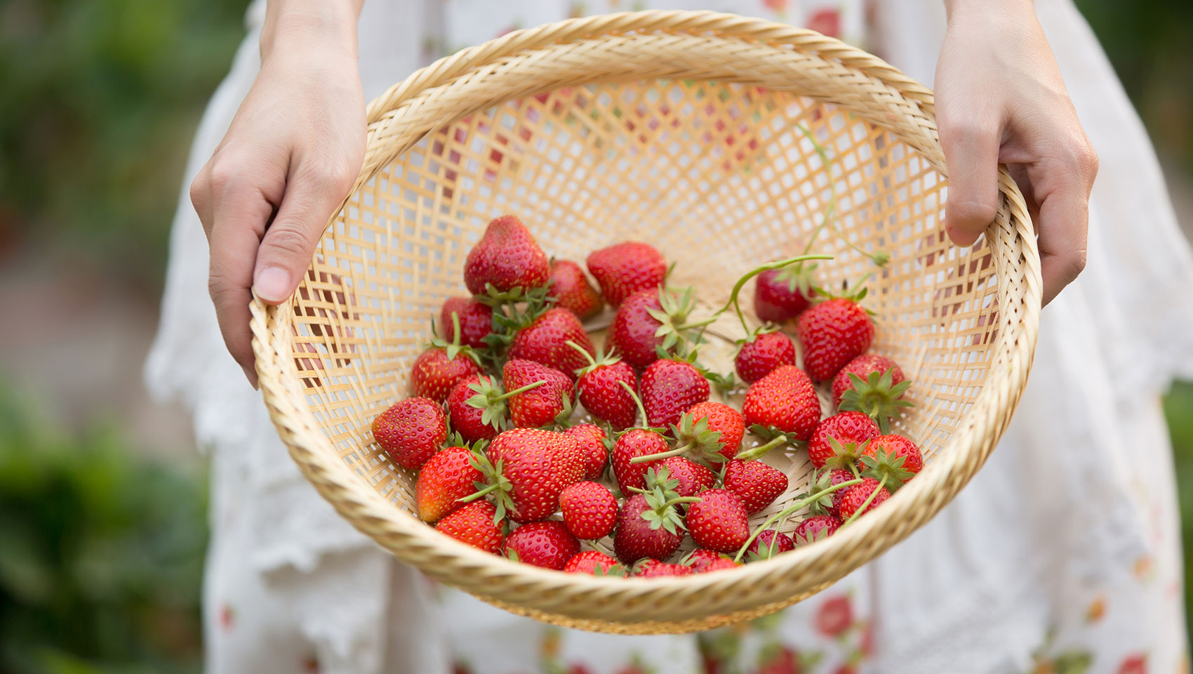 Taste of Vermont: Manchester Farmer’s Market