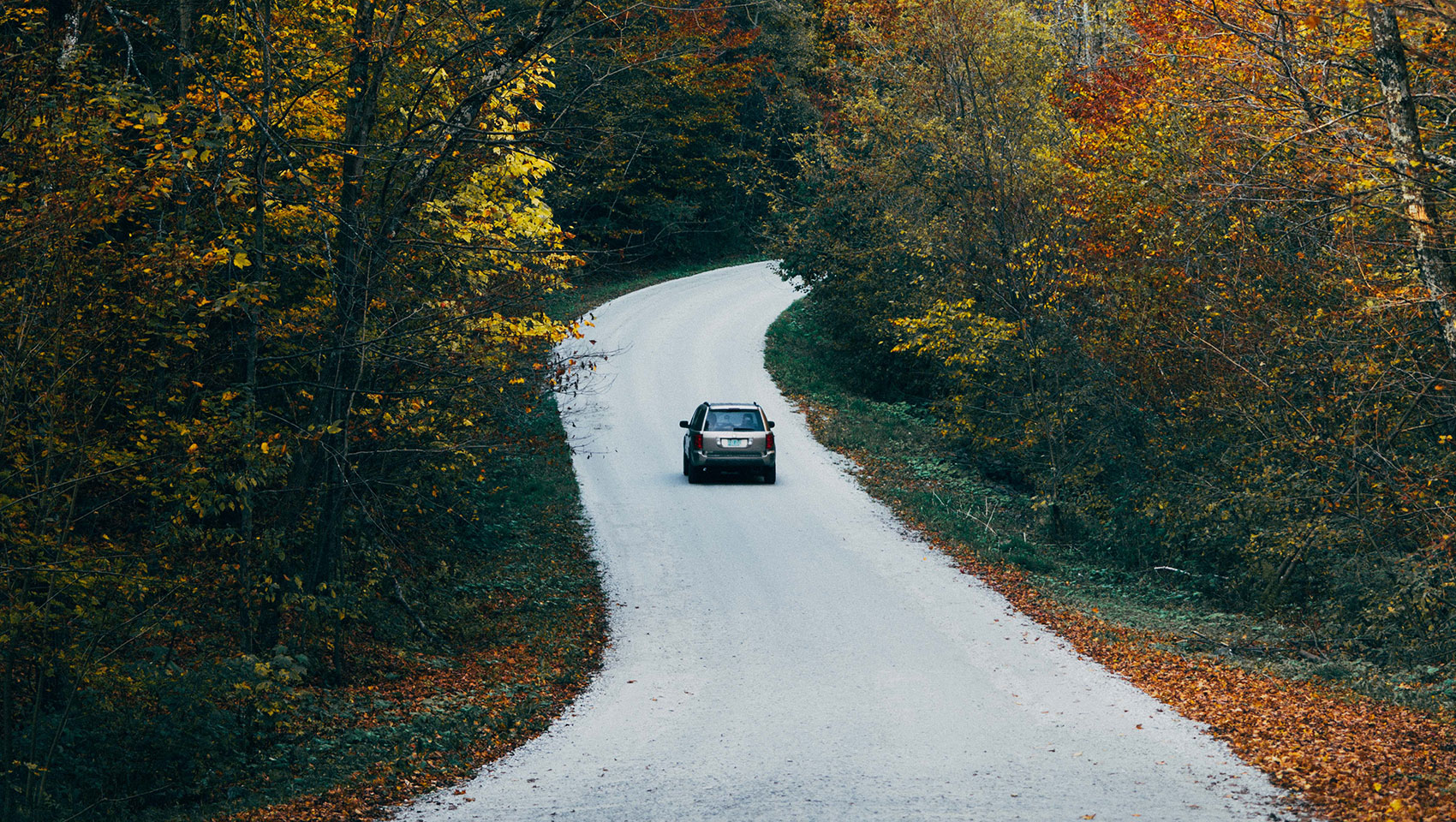 car on road in fall